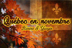 logo Québec en novembre 2016